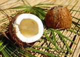 Bamboo & Coconut