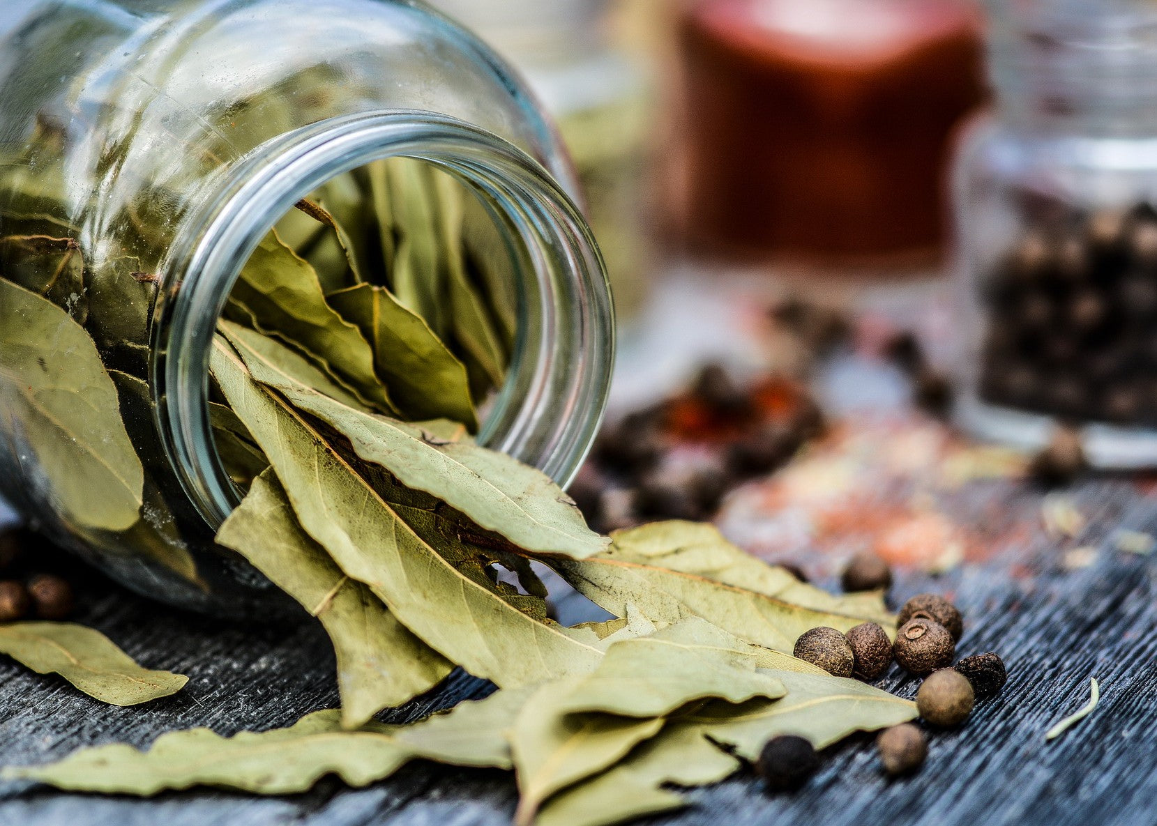 tobacco and bay leaf Tobacco & Bay Leaf – Fox Ridge Candles tobacco and bay leaf Tobacco & Bay Leaf – Fox Ridge Candles